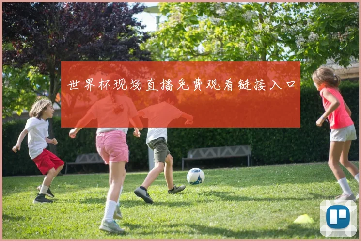世界杯现场直播免费观看链接入口