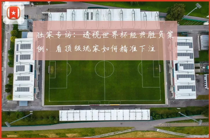 独家专访：透视世界杯经典胜负案例，看顶级玩家如何精准下注